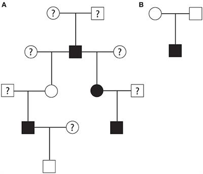 Heritability and Pedigree Analyses of Hypertrophic Cardiomyopathy in Rhesus Macaques (Macaca Mulatta)